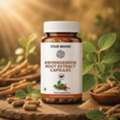 Ashwagandha Manufacturer In India At Herbal Chakra