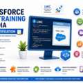 Salesforce LWC Training In India With Certification