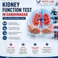 Book Reliable Kidney Function Test In Gandhinagar - Nidan Path Lab