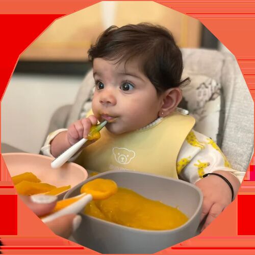 Mumbai, Business, Find The Best Child Nutritionist Course In India