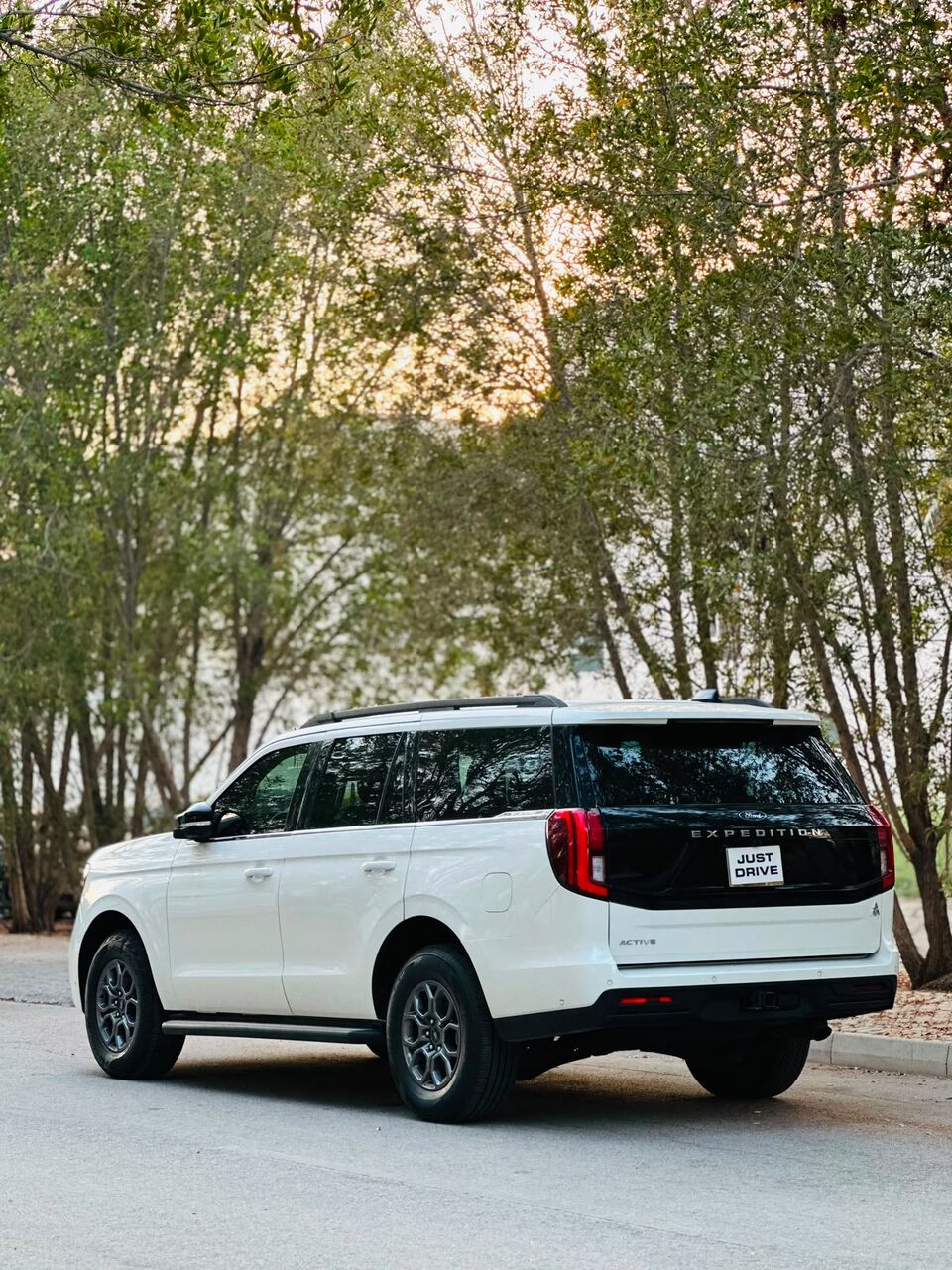 Segaya, Vehicles, Cars & Trucks , BHD 24950,  Ford Expedition,  2025,  Automatic,  17000 KM,    MODEL FULLY AGENT MAINTAINED FULL OPTION 7 SEATER SUV 35400768