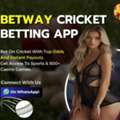 Online Cricket ID Guide: What To Know Before Creating An Account