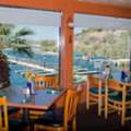 Restaurant Lake Havasu Waterfront | Eat At Havasu Springs