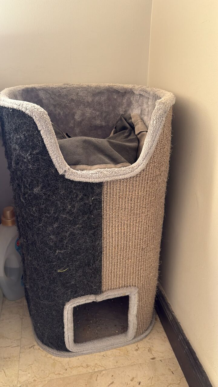Manama, Pet Supplies, BHD 10,  Scratch Post Cat