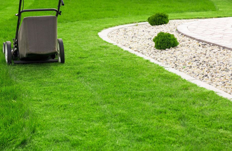 New York, Household, St George UT Lawn Installation | Trusted Local Experts
