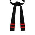 Embroidered Karate Belts & Martial Arts Belts