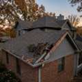 How Seasonal Changes Affect Wildlife Activity Around Homes