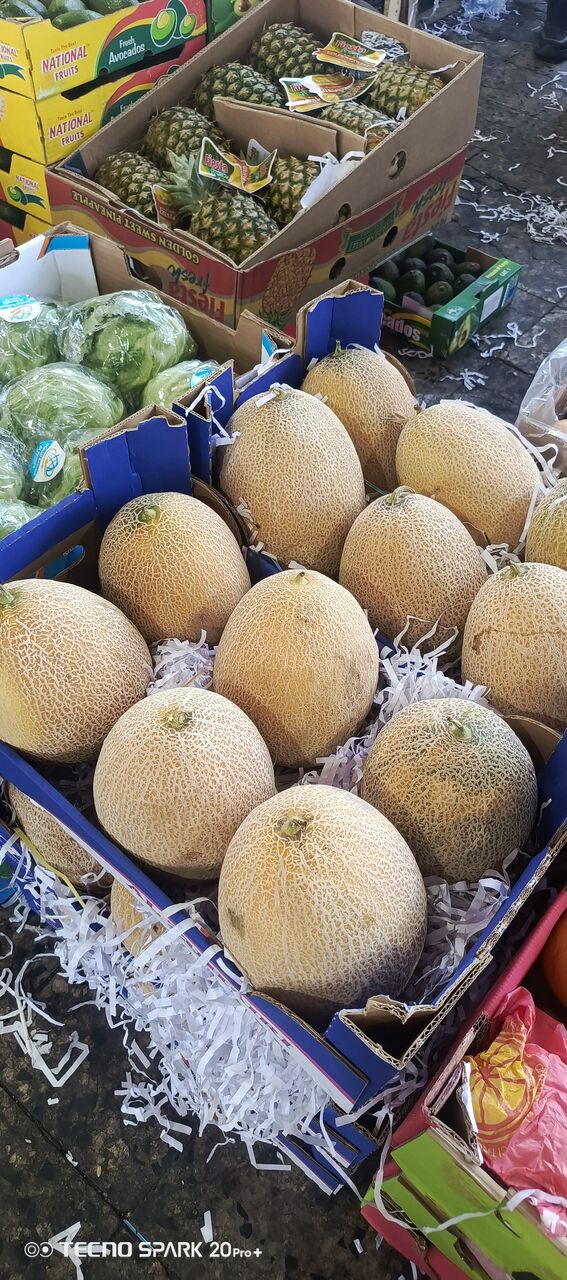 Khobar, Food, SAR 1,  Wholesale Vegetable Delivery -Camp,Catering,Hotels
