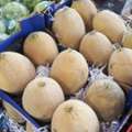 SAR 1,  Wholesale Vegetable Delivery -Camp,Catering,Hotels