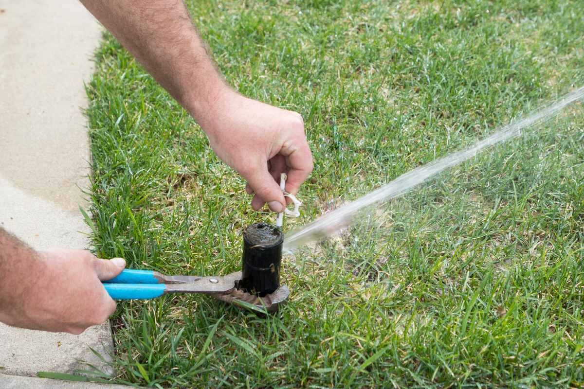 New York, Farm/Garden, Affordable Irrigation Installation In Taylor