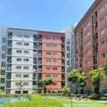 THB 980000,  1 BR,  22 Sq. Meter,  Plum Condo Park Rangsit Phase 3 For Sale With Tenant, Cheapest Price.