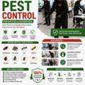 🔥🛡️ Pest Control Expert | Protecting Your Property, Preserving Your Reputation 🛡️🔥