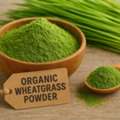 Organic Wheatgrass Powder Suppliers In Indonesia