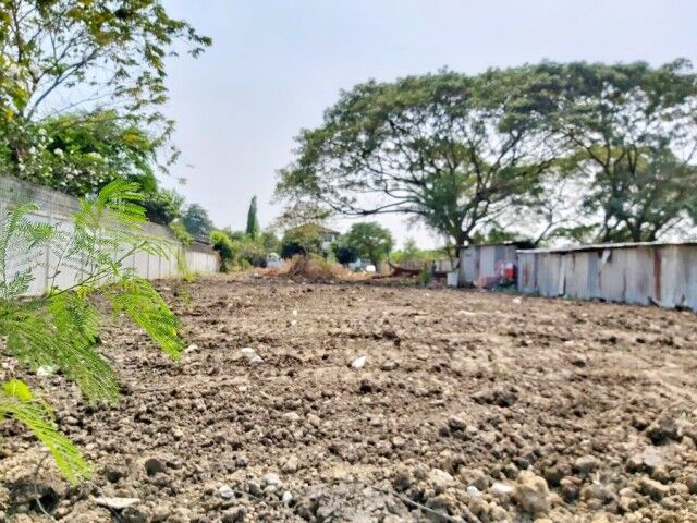 Bangkok, Villas, THB 14999,  310 Sq. Feet,  Land 3 Ngan 10 Sq M, Near Rachawinit Prathom Bang Khae School, 800 M. The Entire Plot Has
