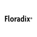 Buy Floradix Iron & Energy Support Supplements Australia | Health Supplements