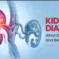 Kidney Dialysis: Types, Procedure, Benefits & Risks