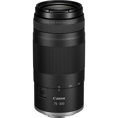 Toronto, Electronics, CAD 910,  Shop Canon EOS R100 Camera Kit With 18-45mm & 75-300mm Lenses Online
