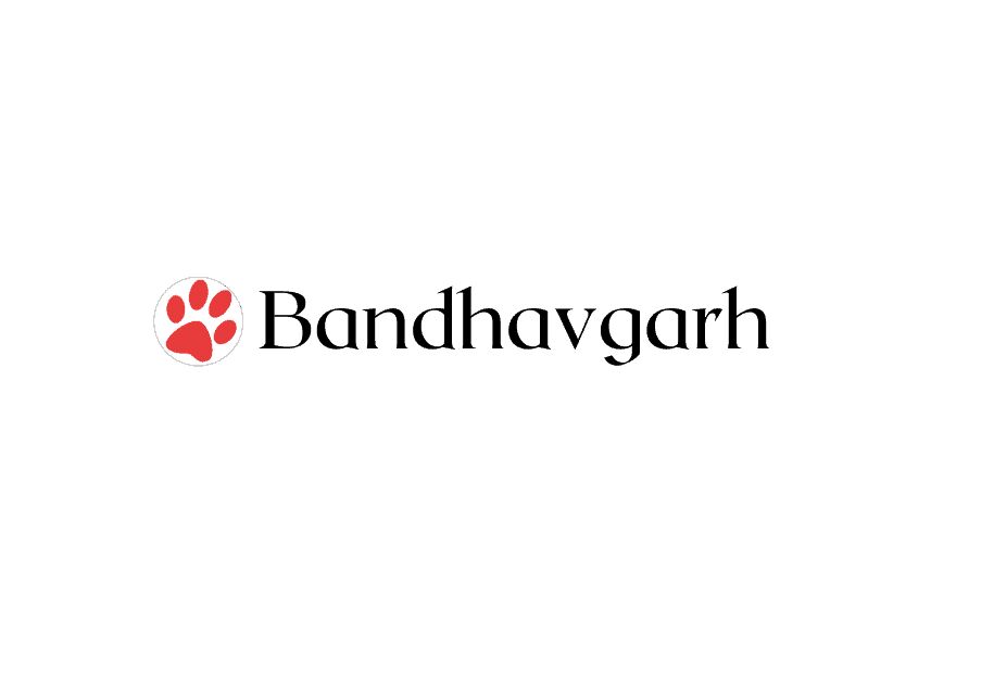 Bhopal, Travel, Tiger Safari Tours India &ndash; Witness The Majesty Of The Wild