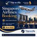 Singapore Airlines Booking &ndash; Latest Deals & Routes | Tripnestify