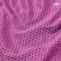 Polyester Mesh Fabric