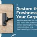 Carpet Cleaning Hallam For Cleaner Indoor Spaces