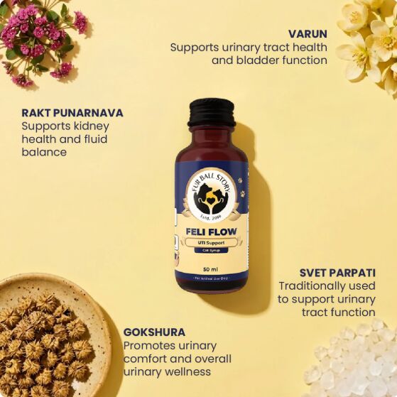 Mumbai, Pet Supplies, INR 189,  Support Healthy Urine Flow Naturally