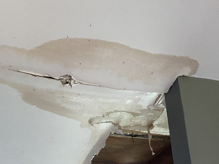 New York, Cleaning, Greenville Emergency Fire, Mold & Water Damage Repair Services