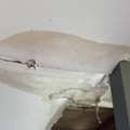 Greenville Emergency Fire, Mold & Water Damage Repair Services