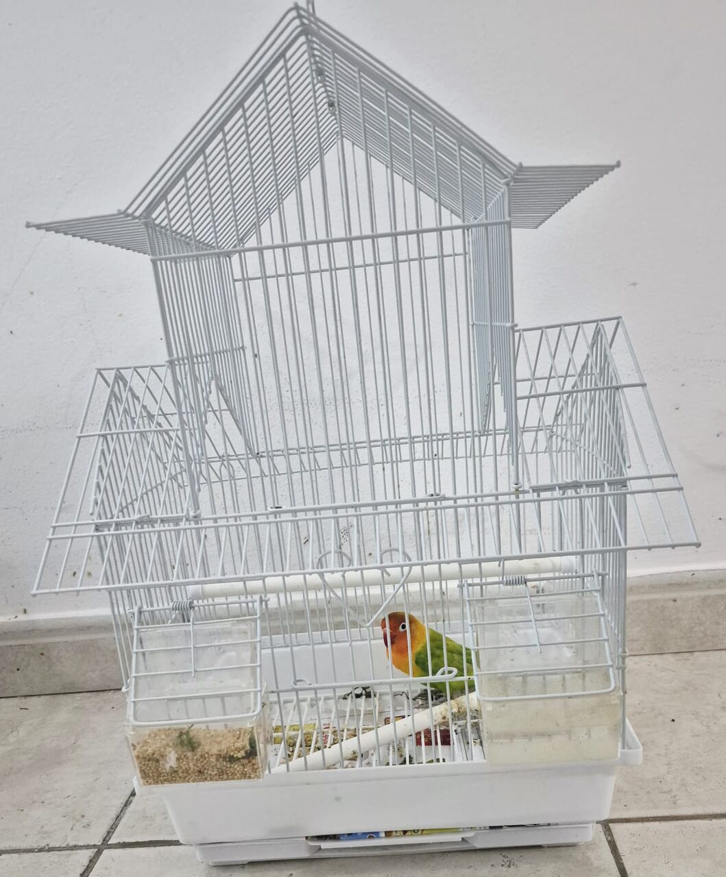Juffair, Pet Supplies, BHD 20,  4 BIRDS WITH TWO CAGES
