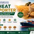 INR 45,  Wheat Exporter | Premium Bulk Wheat Supplier & Verified Global Exporter