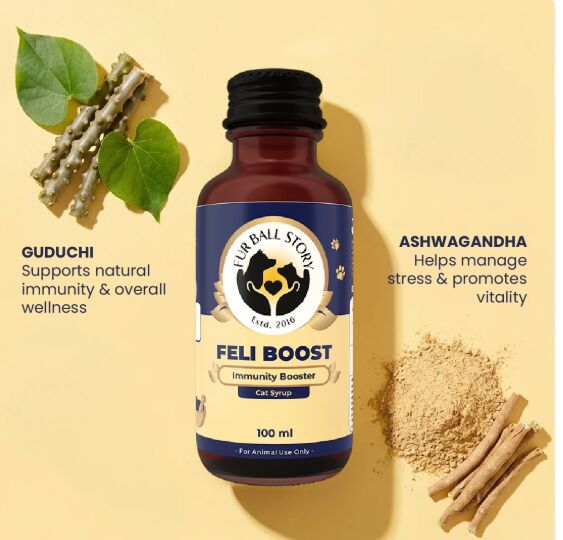 Mumbai, Pet Supplies, INR 189,  Help Your Cat Stay Active & Healthy