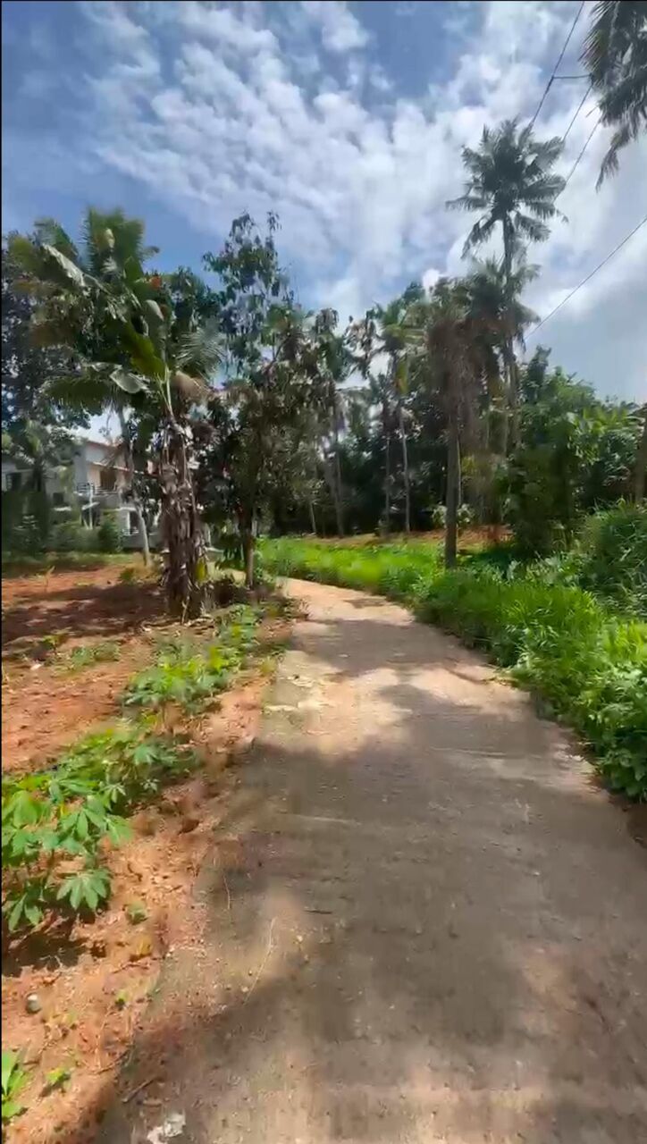 Manama, Residential Plots, INR 6,  2 Acre,  2.14 ACRES TRIVANDRUM Land For Sale