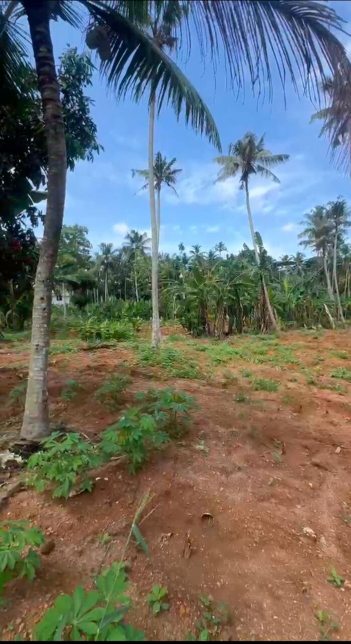 Manama, Residential Plots, INR 6,  2 Acre,  2.14 ACRES TRIVANDRUM Land For Sale
