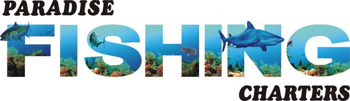 Brisbane, Travel, Best Fishing Charters Gold Coast