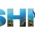 Best Fishing Charters Gold Coast