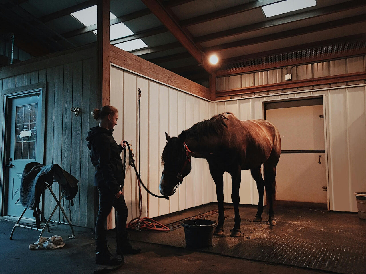 New York, Real Estate, Duramax Horse Stall Wall Panels Can Handle Daily Wear And Tear