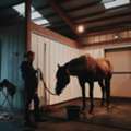 Duramax Horse Stall Wall Panels Can Handle Daily Wear And Tear