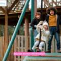 Key Benefits Of Choosing Daycare Clinton Hill Brooklyn