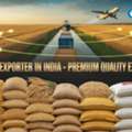 Leading Grains Exporter In India | Premium Quality Grain Supplier &ndash; Glee Impex