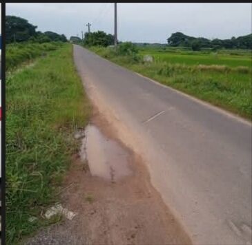 Mumbai, Residential Plots, INR 1700000,  1350 Sq. Feet,  PLOT FOR SALE IN ARADIAPADA,CUTTACK.