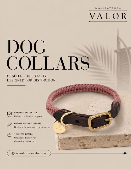 Paris, Pet Supplies, Essential Factors To Consider When Selecting A Dog Collar
