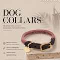 Essential Factors To Consider When Selecting A Dog Collar