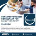 Get Expert Business Consultant For Executives Today