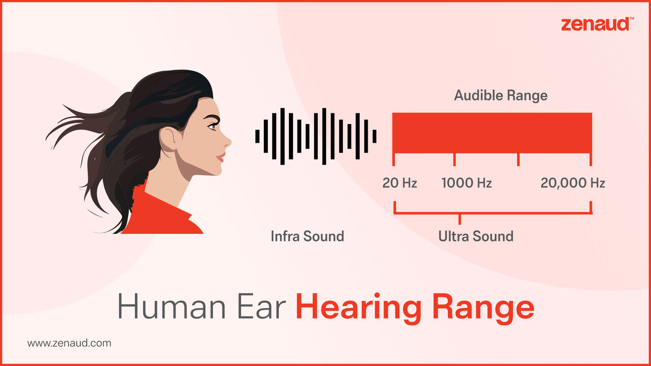 Hyderabad, Health & Beauty Items, INR 16000,  Human Ear Hearing Range - Zenaud
