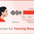 INR 16000,  Human Ear Hearing Range - Zenaud