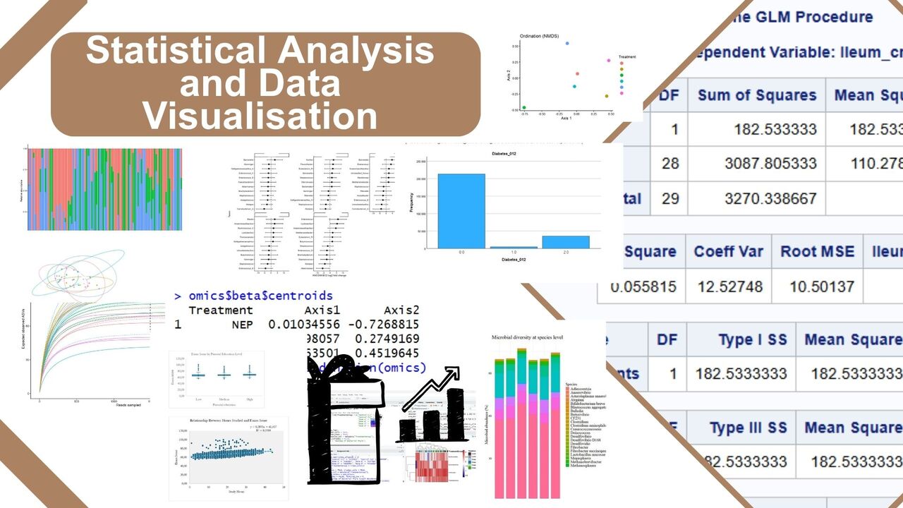 Cape Town, Education, Overwhelmed By Thesis Deadline? | PhD Expert In SPSS, R-Studio & Excel Analysis