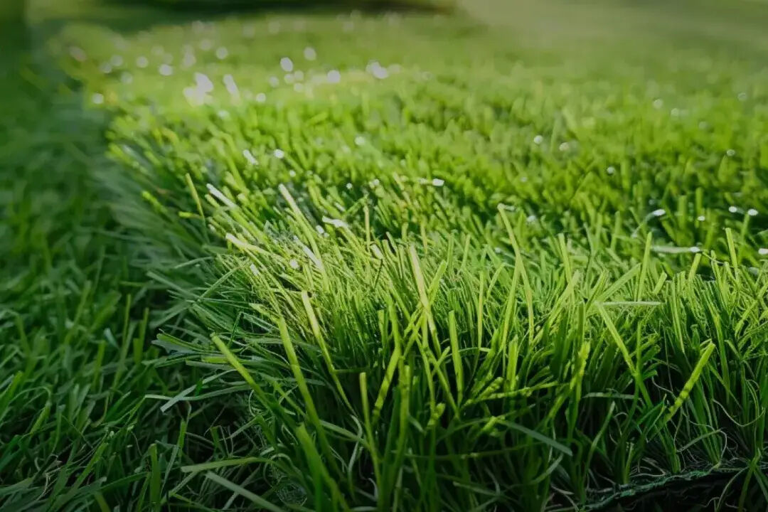 Sydney, Business, Premium Synthetic Grass Soccer Solutions | JL Turf Group