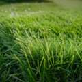 Premium Synthetic Grass Soccer Solutions | JL Turf Group