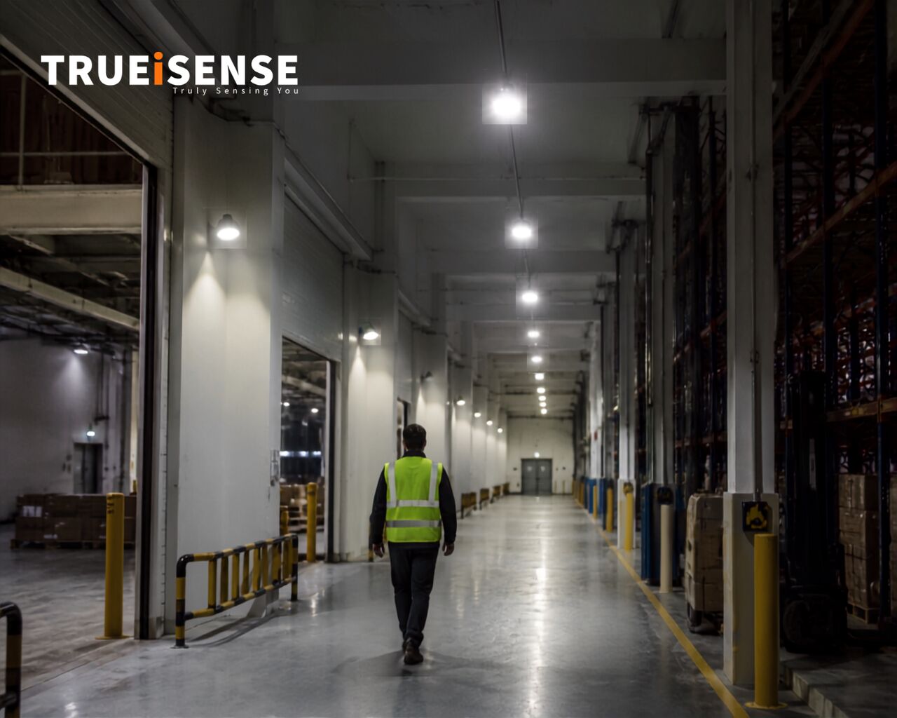 Noida, Electronics, Motion Sensor LED Light & Automation Systems | Trueisense