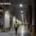 Motion Sensor LED Light & Automation Systems | Trueisense